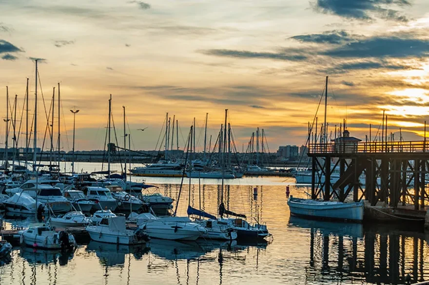 Torreviejas osta